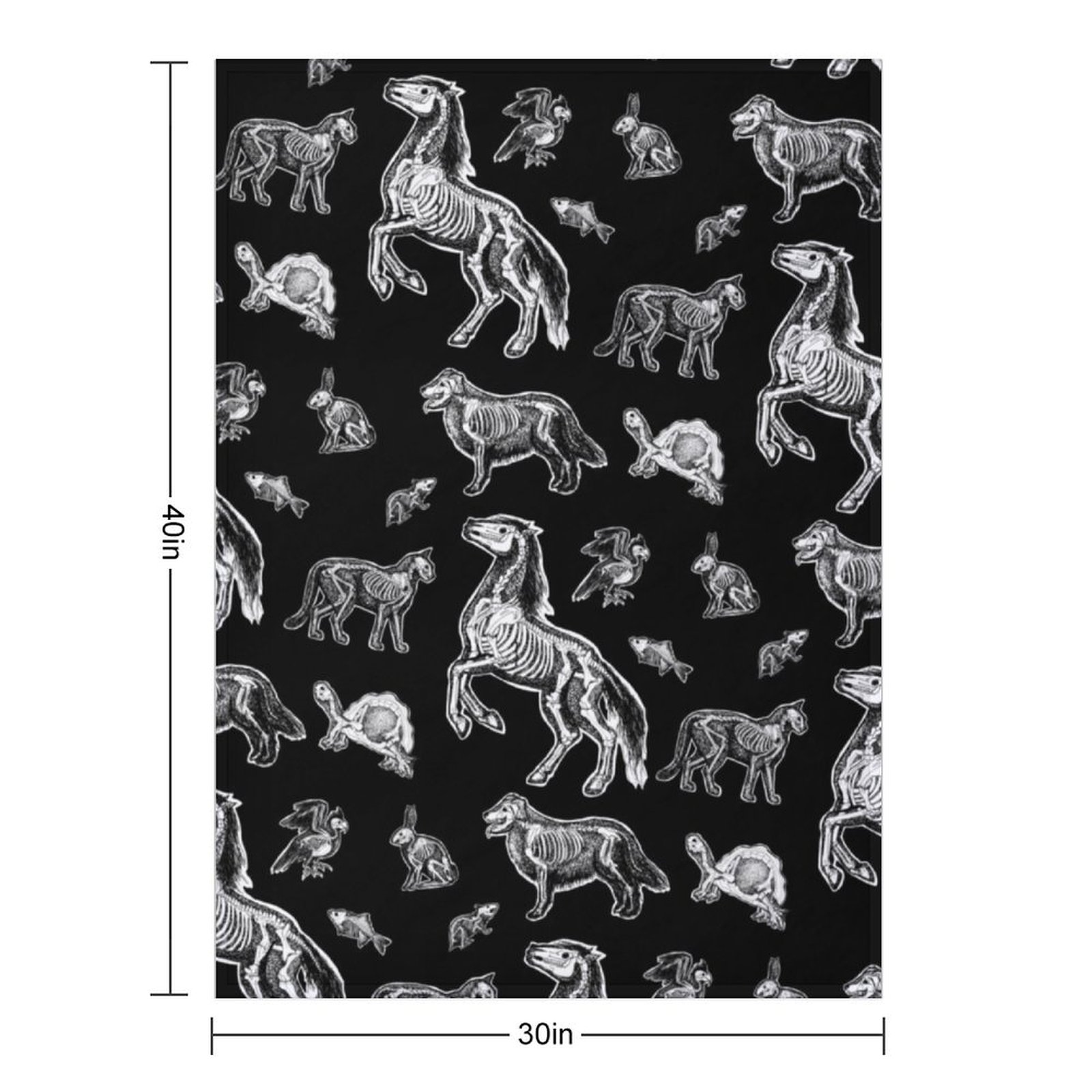 Veterinaire technicus:: Röntge - 3D Printing X Ray recensie en prijs