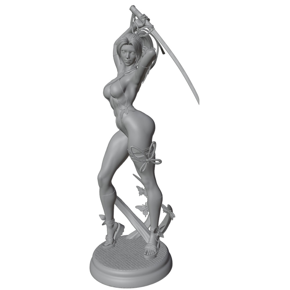 1/24 Vrouw 	 Warrior Resin Mod - 3D Printing Nyc recensie en prijs