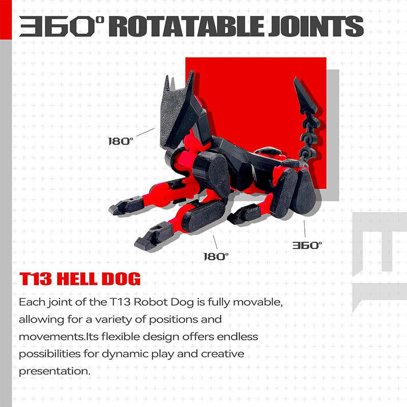 Montage voltooid T13 3D Action - 3D Printing Titanium recensie en prijs