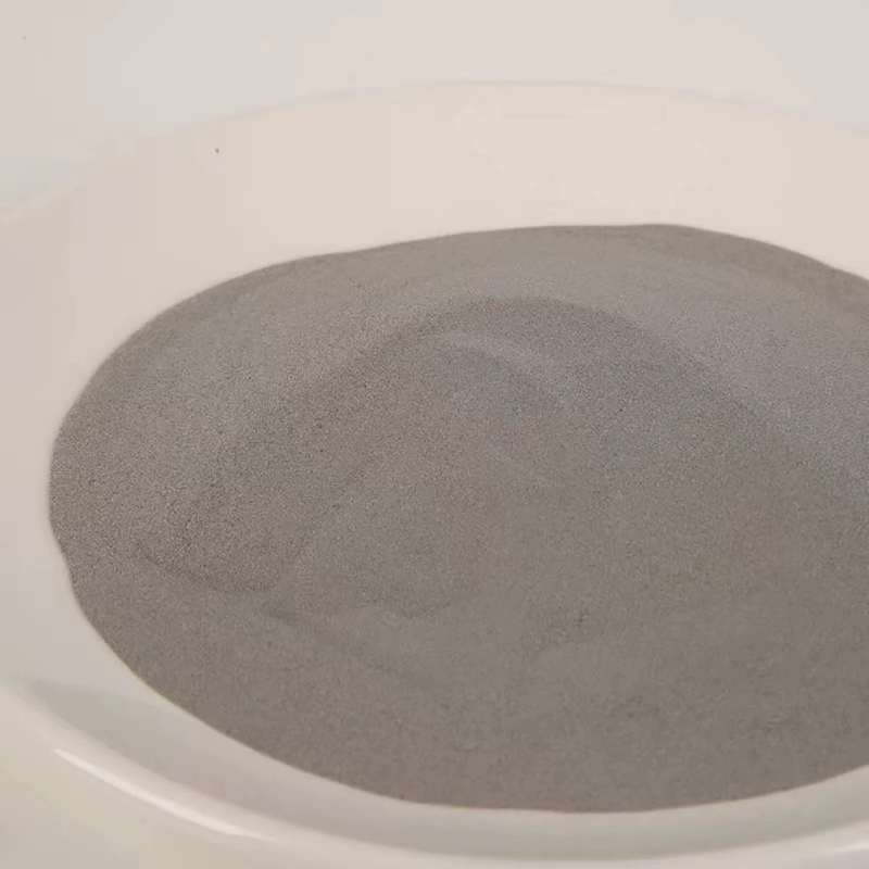 500g 304 roestvrij staalpoeder - 3D Printing Steel recensie en prijs